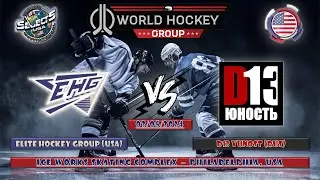 ELITE HOCKEY GROUP (USA) - D13 YUNOST (RUS) 2024 WSI '08 ELITE, PRELIMINARY ROUND, 03.05.2024