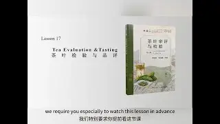 Tea Tasting and Evaluation in Theory
