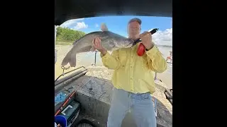 Pre-Spawn Channel Catfish Bite is Still Hot