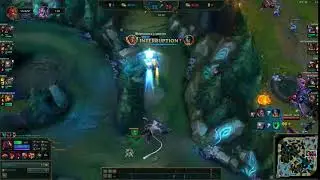 Sion R bug