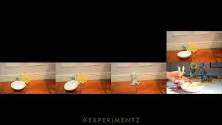 Have a bowl Mr. Sqidward! but It SYNCS UP