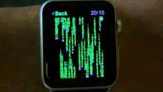 Apple Watch Matrix