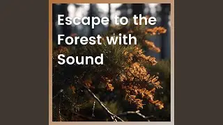 Woodland Peace