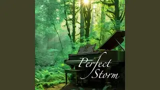 Perfect Storm