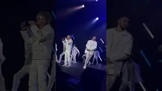 На белом покрывале января - Васюта #live #concert #музыка #концерт #васюта