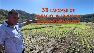 terreno de 33 manzanas 20 de regadío $12000 por manzana en caluco parte 3