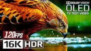 4K Video ULTRA HD OLED Demo | Dolby Vision HDR 120fps