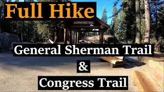 Virtual Hike | General Sherman & Congress Trail (Full Hike)  | Sequoia National Park | 1080p HD