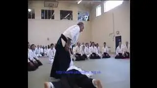 United Kingdom Aikikai - 2008 Aikido Summer School