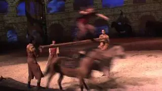 Cavalia in Miami WLRN TV