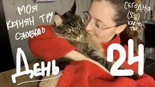 ежедневный влог | день 24 | 11.02.2026