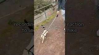 Public&rsquo;s reaction to our cat on a hike