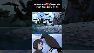 Itachi Meet First Crow's 🐦&zwj;⬛ #narutoshippuden #itachi  #trendingshorts #entertainment
