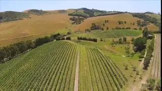 Stonyridge Vineyard by Air - Summer 2015 Waiheke Island New Zealand.