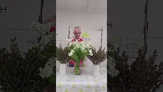 НОВИНКИ к праздникам: Орлайя и Копросма