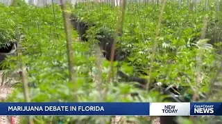 Florida bill would allow some people to grow marijuana at home