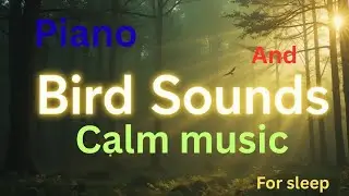 Sleep music with bird sounds and piano.  Autism sleep music #sleepmusic #autism #calmingmusic #relax