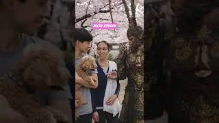 momy and son walking at Japan temple monkey king and cute chichi darling #shorts 🐵🏔️ #ai #america
