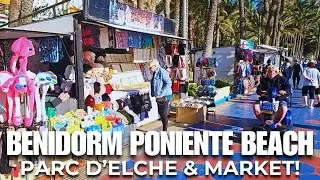 Benidorm Poniente Beach Christmas Market is BOOMING! - Parc D'Elche, Harbour & Cala del Mal Pas