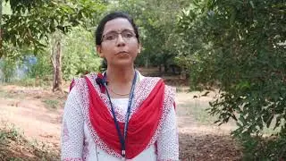 കാച്ചിൽ കൃഷി Yam cultivation
