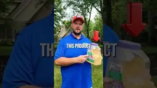 GET RID of ANTS at Home with GRANULAR BAIT! #shorts