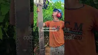quem pediu tamanho 