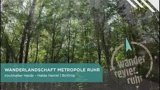 Wandern in der Kirchheller Heide - Wandertipp vom Regionalverband Ruhr