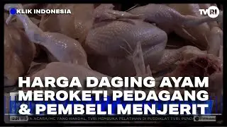 Harga Daging Ayam Melonjak, Pedagang dan Pembeli Menjerit