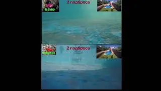 B-Vibe vs Reef Runner