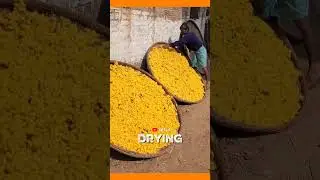 How Silk Threads Are Really Made #shorts