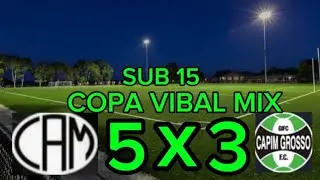 GALO B, X CAPIM GROSSO SUB 15, COPA VIBAL MIX 
