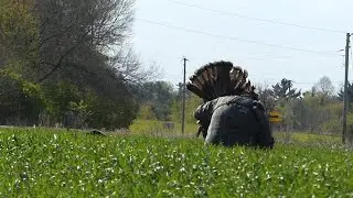 Turkey Reaping Wisconsin Style!!