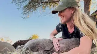 Rhino: The Endgame - Give orphans a future
