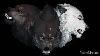 //Anime Wolves\\ -//Legends Never Die\\