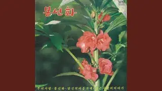 슬픈 사랑의 이야기