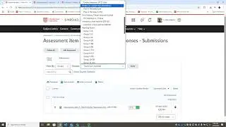 Using Brightspace Rubric Statistics Tool for marker / task moderation