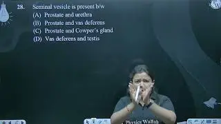 Seminal vesicle is present b/w....