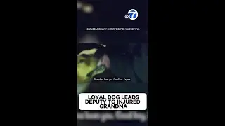 Loyal dog leads deputy to injured grandma