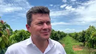 Brazil Farmer Aims To Revolutionize Cocoa Industry With Giant Farm