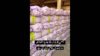 Business 😨🔥 #auction #pti #apple #dailymandi #appletrees #fruitmandi #fruit #vegetables #viral