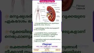 Kidney | വൃക്ക | Psc questions | Ldc questions Malayalam | Psc science #psc #ldc #kidney