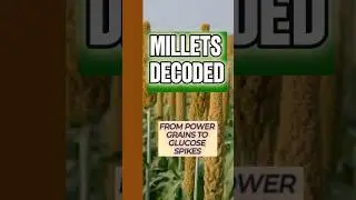 Millets Decoded😎 Watch this before Eating 🧐 #millet #shorts #healthylifestyle