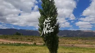 Aventuras, camp & trekk en el monte serrano / 2025-2026