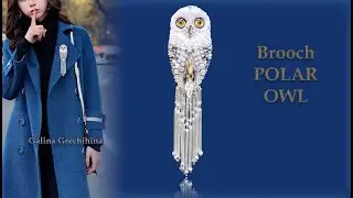 Обзор броши POLAR OWL