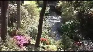 Bodnant Gardens