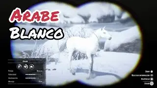 C&oacute;mo conseguir el mejor caballo de Red Dead Redemption 2 (&Aacute;rabe blanco)