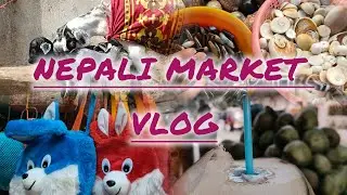  A Day at the Nepali Market: Shopping and Culture in Bodhgaya.