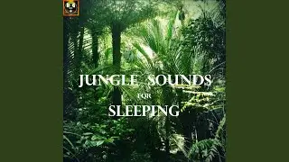 Jungle Thunderstorm With Animal Sounds, Light Rain And Strong Thunder In The Distance