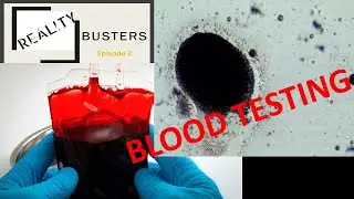 Reality Busters Ep 2 Testing Blood