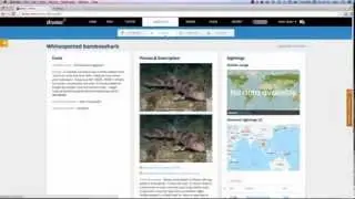 Diviac - how to log your dives in 30 seconds using templates